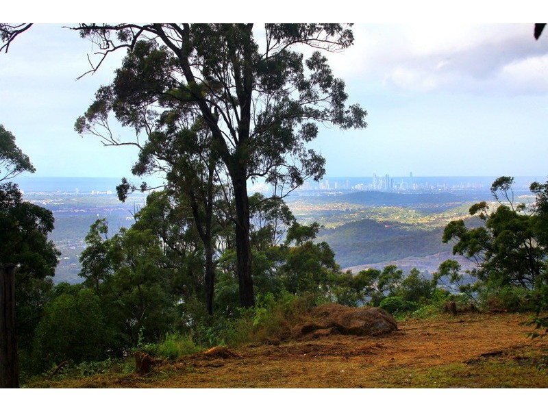 244 Wongawallan Drive, Wongawallan QLD 4210