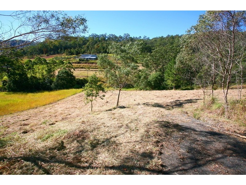 41 Yallanbee Court, Wongawallan QLD 4210