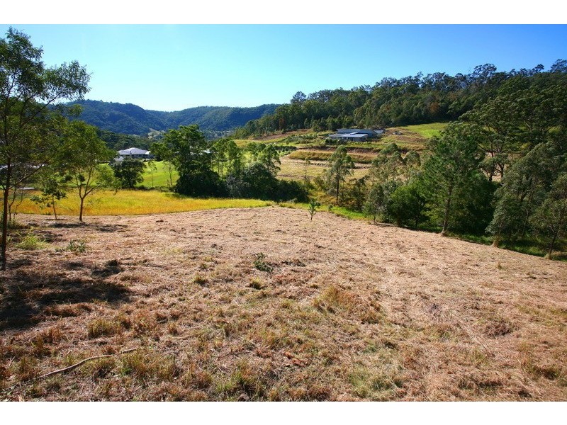 41 Yallanbee Court, Wongawallan QLD 4210