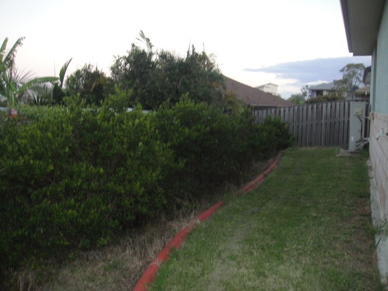 5 Waterclover Drive, Upper Coomera QLD 4209