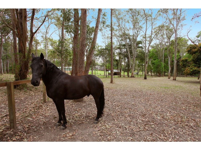 69 Fern Tree Gully, Willow Vale QLD 4209