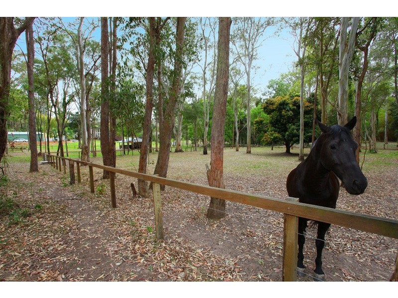 69 Fern Tree Gully, Willow Vale QLD 4209