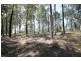 lot 49 Pittas Place, Willow Vale QLD 4209