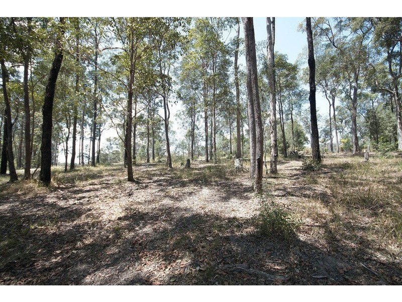 lot 49 Pittas Place, Willow Vale QLD 4209