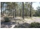 lot 49 Pittas Place, Willow Vale QLD 4209