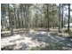 lot 49 Pittas Place, Willow Vale QLD 4209