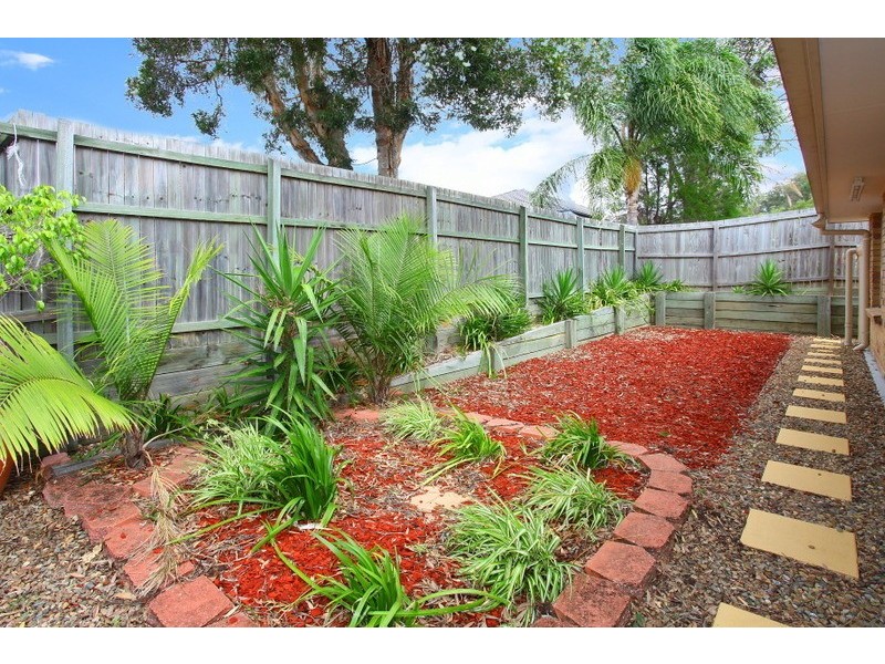 14 Currawong Crescent, Upper Coomera QLD 4209