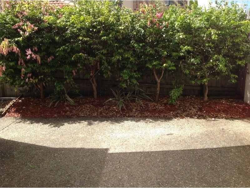 1/22 Bluetail Crescent, Upper Coomera QLD 4209