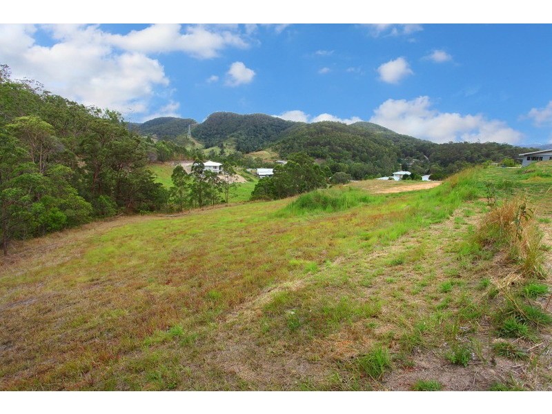 1 Yallanbee Court, Wongawallan QLD 4210