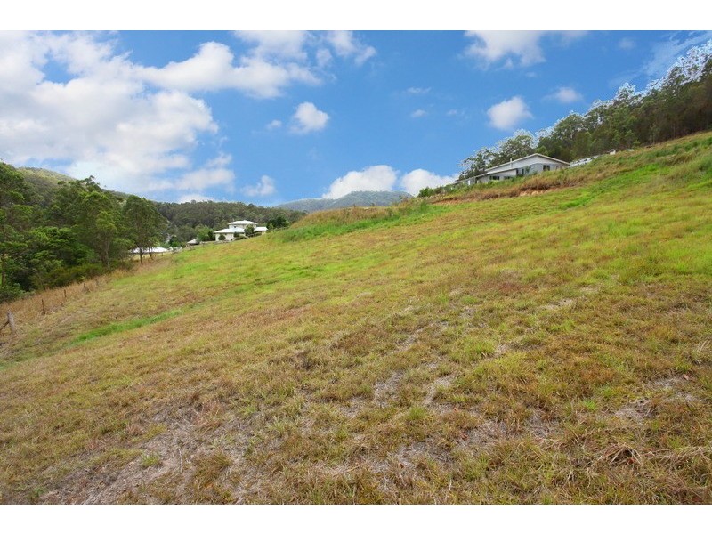 1 Yallanbee Court, Wongawallan QLD 4210