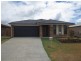 61 Beaumont Drive, Pimpama QLD 4209