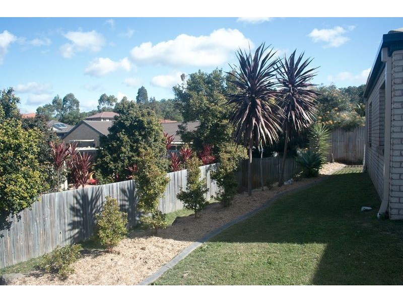 55 Glentree Ave, Upper Coomera QLD 4209