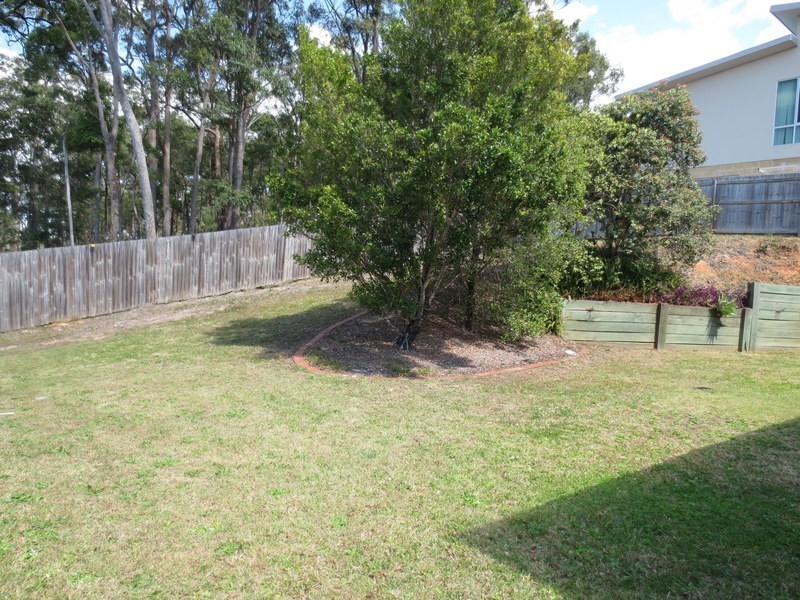 14 Cashew Court, Upper Coomera QLD 4209