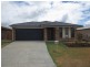 61 Beaumont Drive, Pimpama QLD 4209