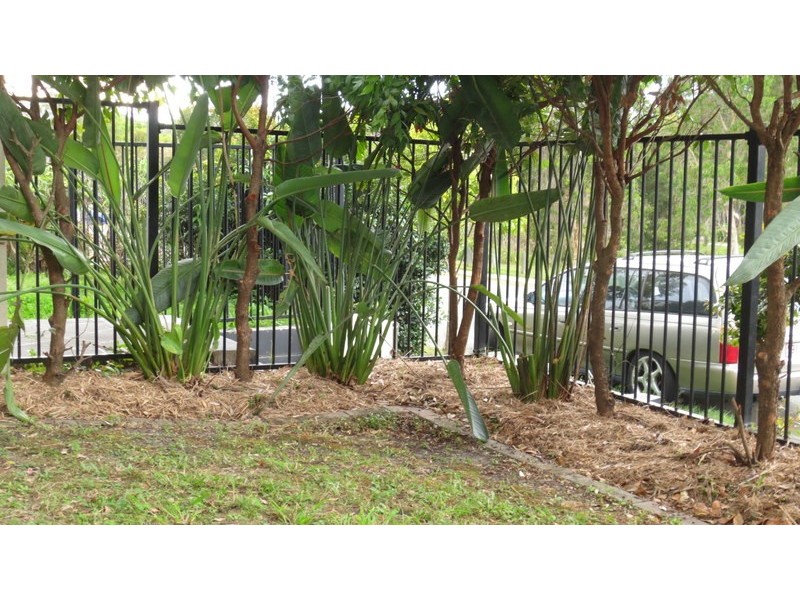2/17 Park Esplanade, Coomera QLD 4209
