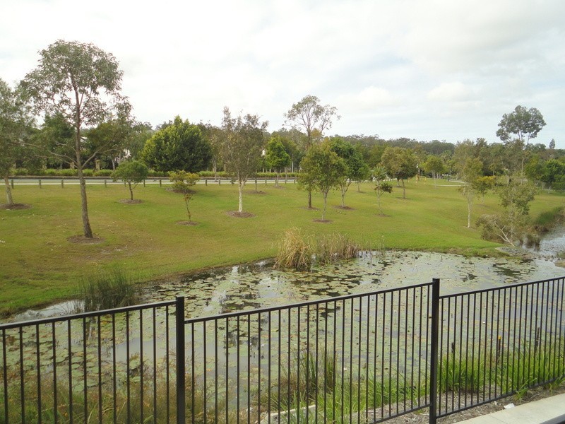 4 Dayflower Street, Upper Coomera QLD 4209