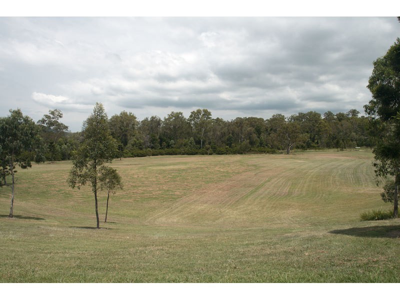 56 Treeline Circuit, Upper Coomera QLD 4209