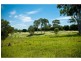 Hidden Woods/181 Nerang Murwillumbah Road, Advancetown QLD 4211