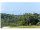 Hidden Woods/181 Nerang Murwillumbah Road, Advancetown QLD 4211