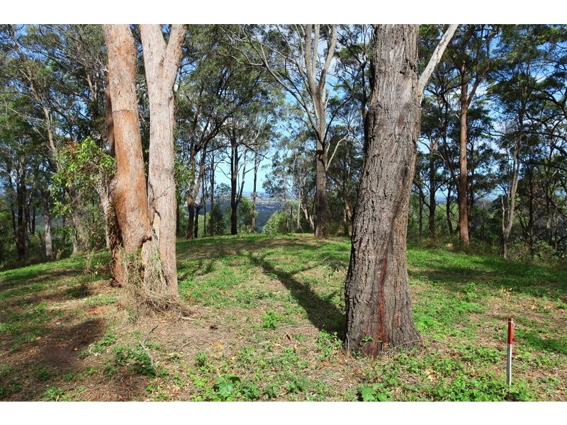 Lot 10 – 349 Ruffles Road, Willow Vale QLD 4209