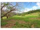 349 Ruffles Road, Willow Vale QLD 4209