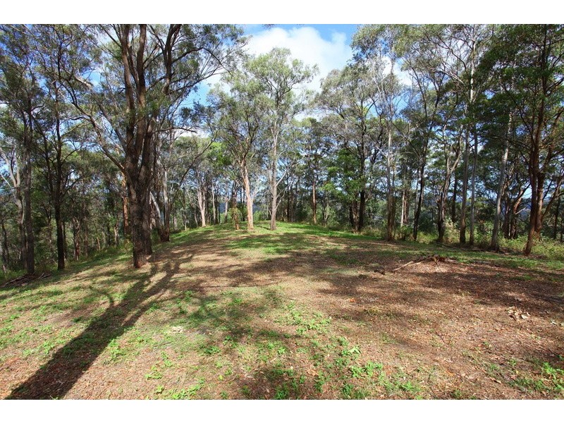 349 Ruffles Road, Willow Vale QLD 4209