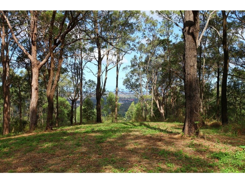 349 Ruffles Road, Willow Vale QLD 4209