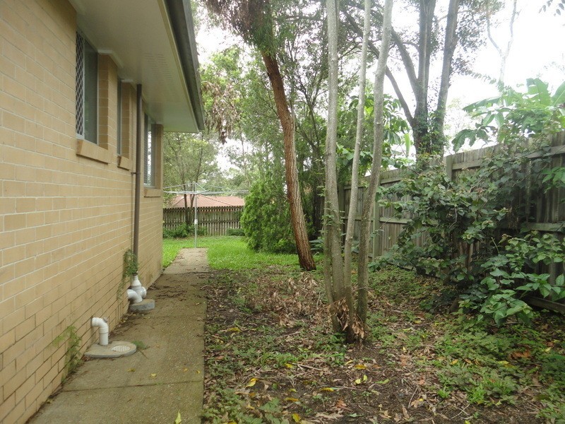 19 Panache Street, Molendinar QLD 4214