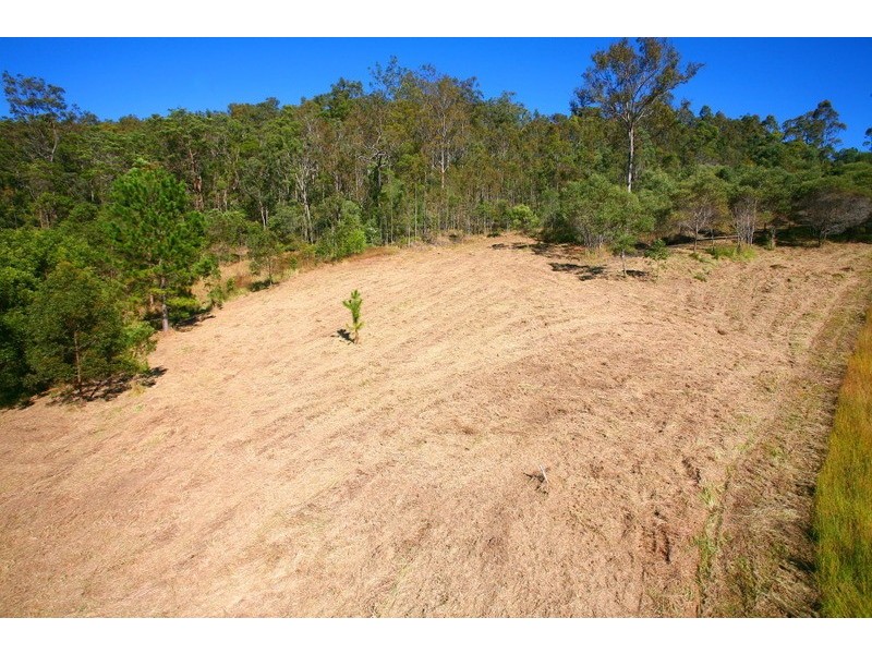 41 Yallanbee Court, Wongawallan QLD 4210