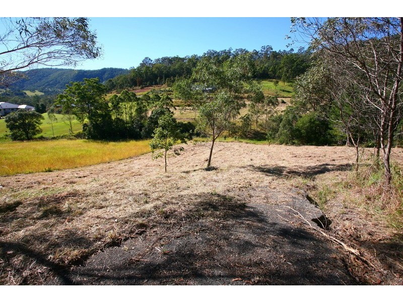 41 Yallanbee Court, Wongawallan QLD 4210