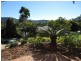 9 Gilpin Court, Upper Coomera QLD 4209