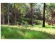 155 Brygon Creek Drive, Upper Coomera QLD 4209