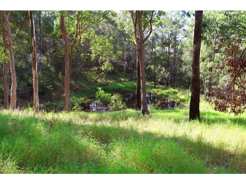 155 Brygon Creek Drive, Upper Coomera QLD 4209