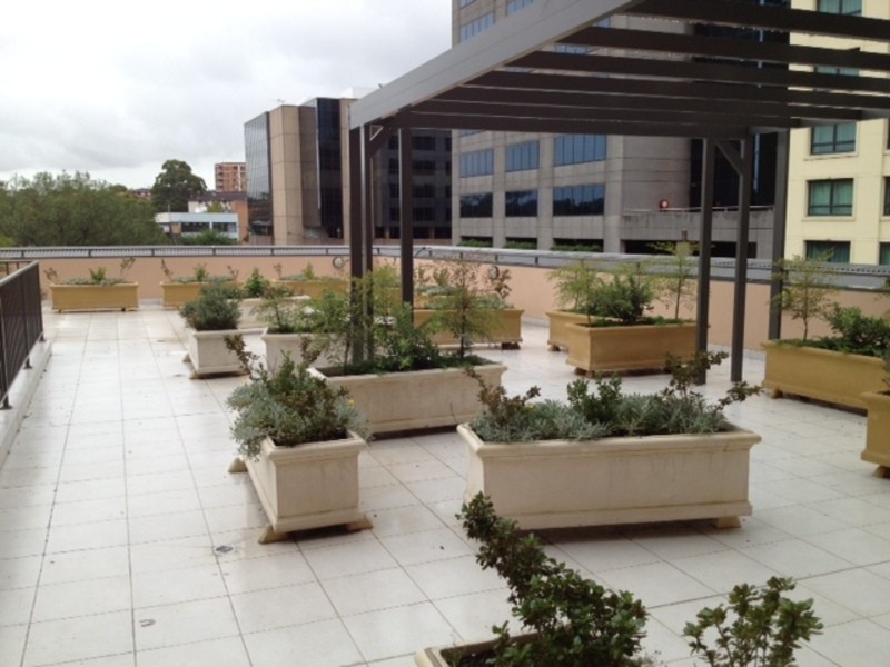 15/39 Cowper st, Parramatta NSW 2150