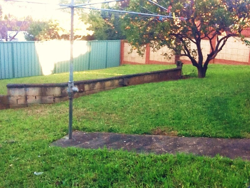 17 Terry Avenue, Seven Hills NSW 2147