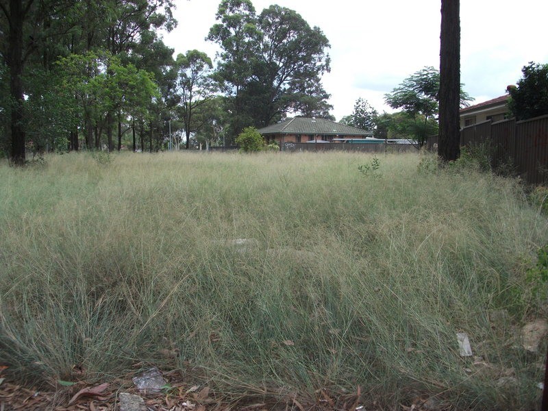 7 Weisel Place, Willmot NSW 2770