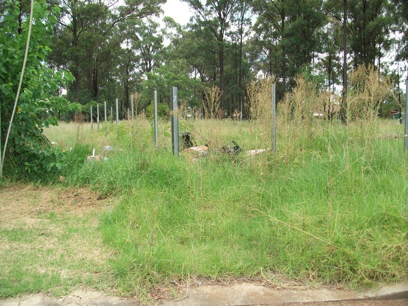 7 Weisel Place, Willmot NSW 2770