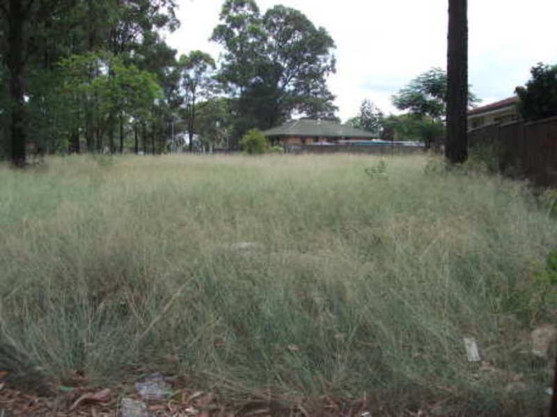 7 Weisel Place, Willmot NSW 2770