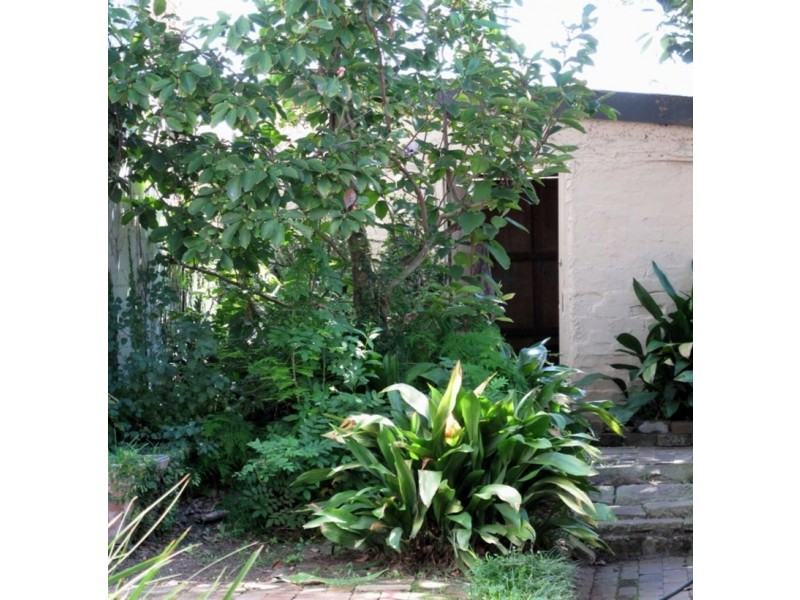 503  Darling Street, Balmain NSW 2041