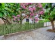 5 Burt Street, Rozelle NSW 2039