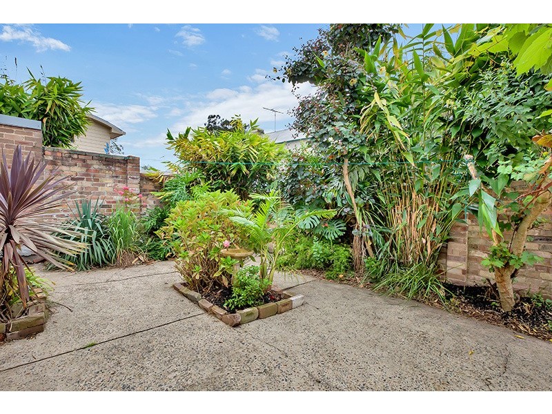 5 Burt Street, Rozelle NSW 2039