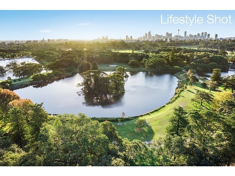 56 Wentworth Street, Randwick NSW 2031