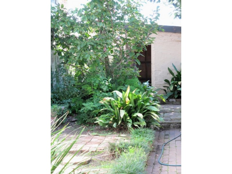 503 Darling Street, Balmain NSW 2041