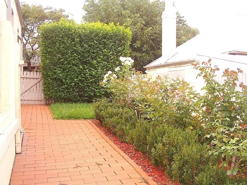 6a Wellington Street, Waterloo NSW 2017