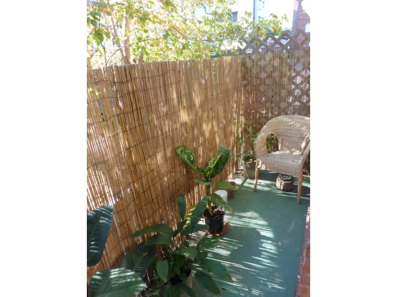 11/111 Homer Street, Earlwood NSW 2206