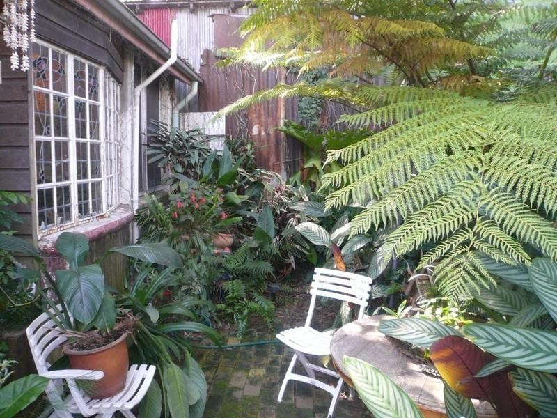 16 Creek Street, Forest Lodge NSW 2037