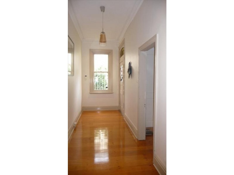 29 Palace Street, Petersham NSW 2049