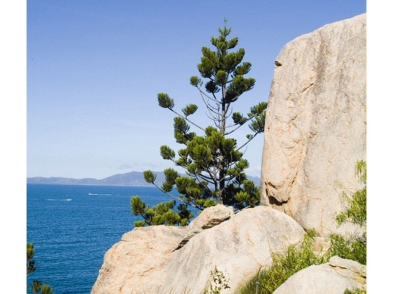 190 Apjohn Street, Horseshoe Bay QLD 4819