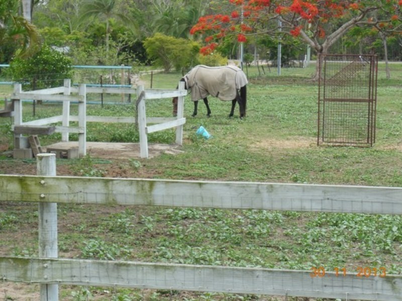 212 Forestry Road, Bluewater QLD 4818