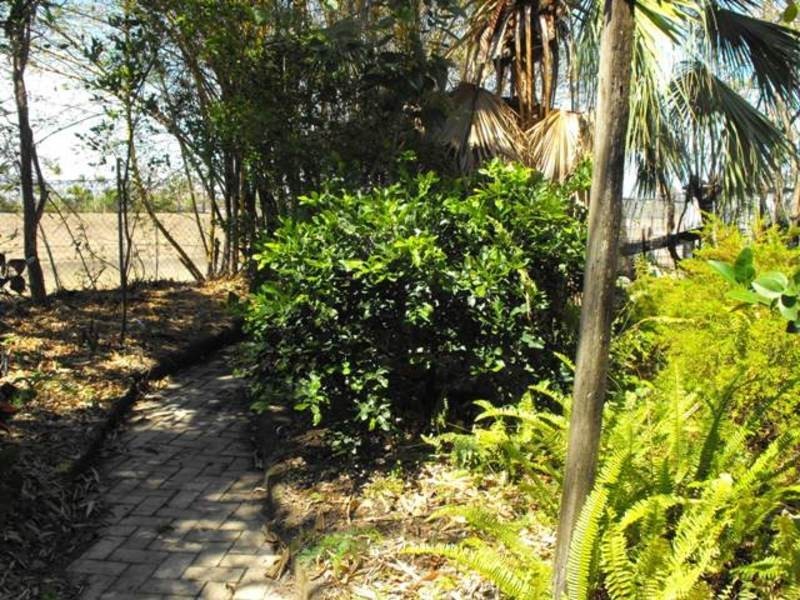 10 Sunderland Street, Garbutt QLD 4814